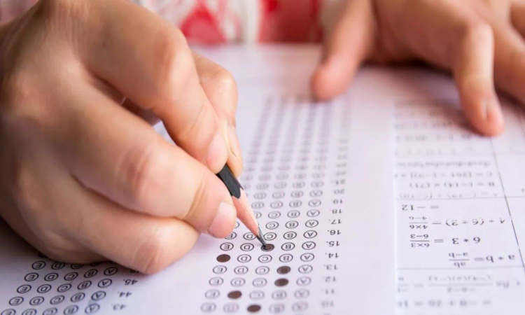 JEE (Main) results announced, 24 candidates score perfect 100