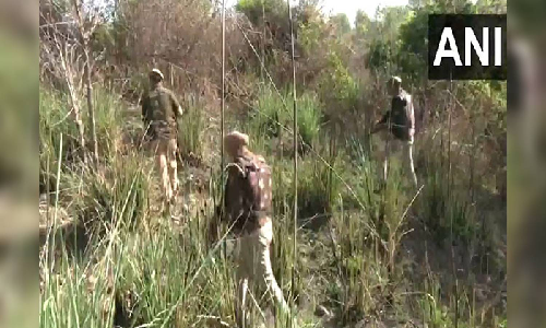 J-K: Search Operations underway following Pahalgam Terror attack