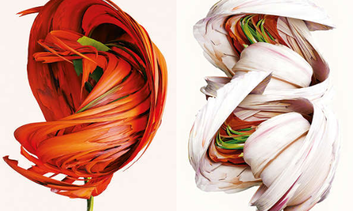 It’s Springtime on Polaris-9b, and the Exoflowers Are Blooming