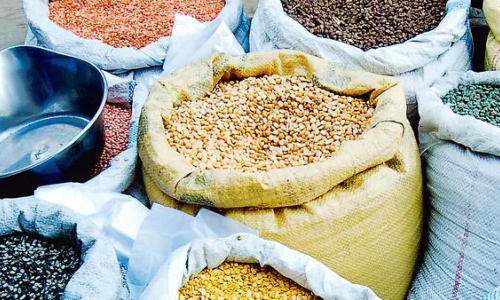 Tur procurement at MSP in full swing in states, over 2.56 lakh farmers benefit