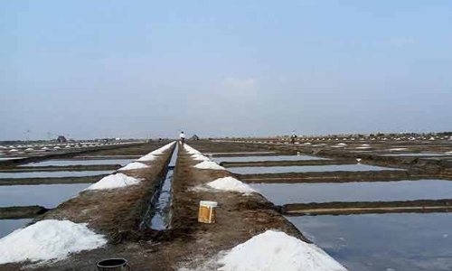 Tamil Nadu: Salt produce hit as rain lashes Southern districts Tamil Nadu: Salt produce hit as rain lashes Southern districts