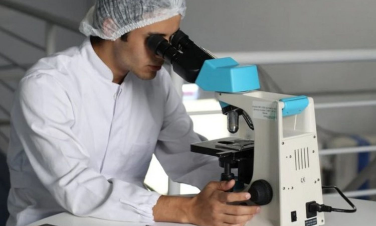 Groundbreaking study reveals how our brain learns