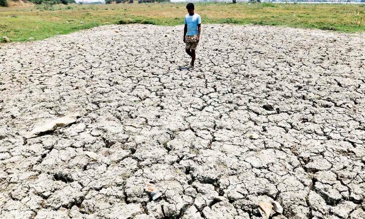 Worlds biggest firms caused $28 tn in climate change: Study