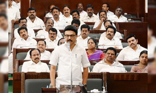 Special camp for adding KMUT beneficiaries from June: CM Stalin