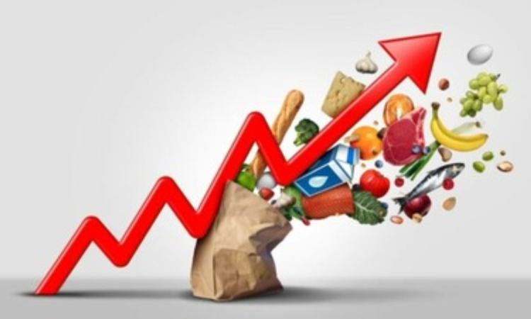 Indian households well positioned to support 6.5 pc growth over 3-5 years: Morgan Stanley