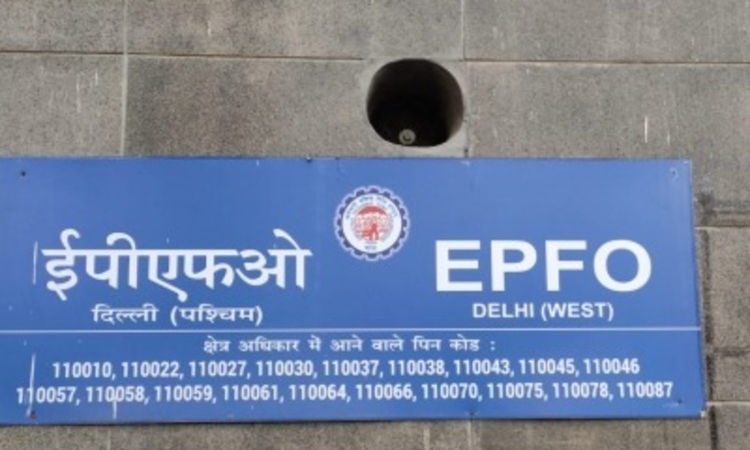Govt ratifies interest rate at 8.25 pc on employees provident fund for FY25 Govt ratifies interest rate at 8.25 pc on employees provident fund for FY25