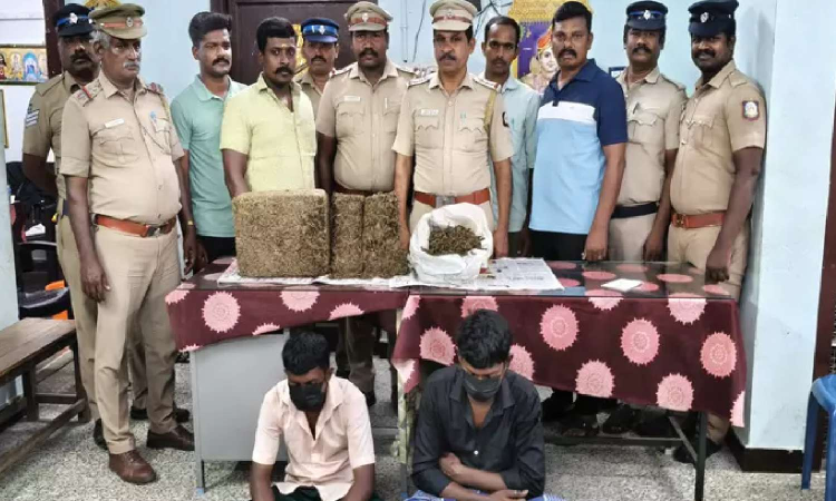 Thoothukudi police seize 11 kg ganja; 3 including juvenile held Thoothukudi police seize 11 kg ganja; 3 including juvenile held
