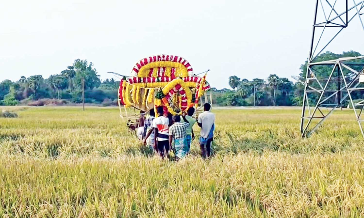 Thanjavur: Miscreants try to exhume body of 12-year-old girl