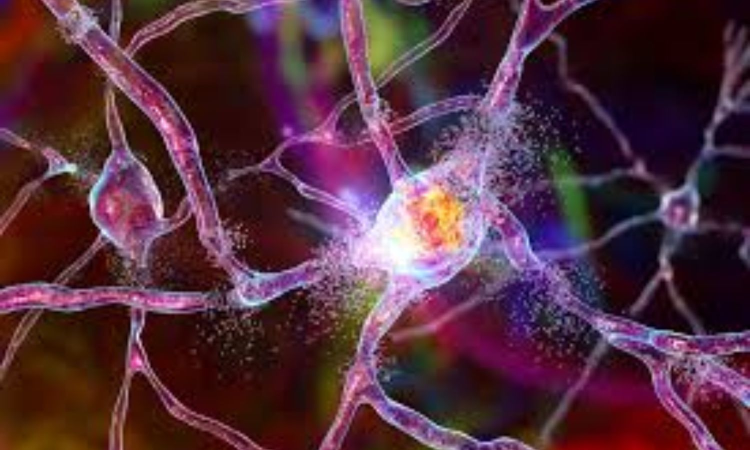 New skin-based test to boost diagnosis of debilitating neurodegenerative disease