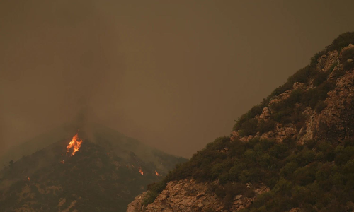 Wildfire rages across Israel, sparks national emergency as thousands flee
