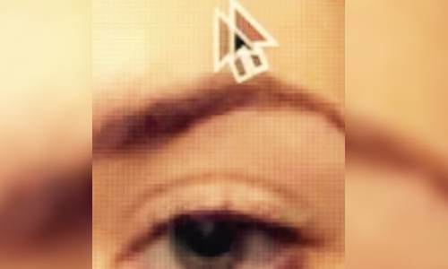 Secret Threats: DOGE building a surveillance state