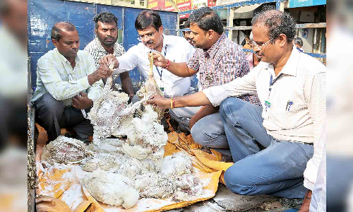 Still a long way to go, poultry farmers warn authorities on curbing AMR Still a long way to go, poultry farmers warn authorities on curbing AMR