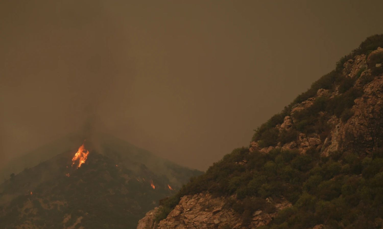 Wildfire rages across Israel, sparks national emergency as thousands flee