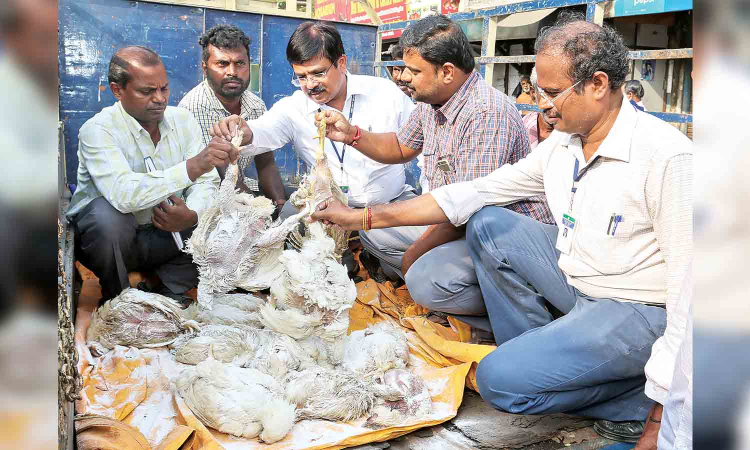 Still a long way to go, poultry farmers warn authorities on curbing AMR