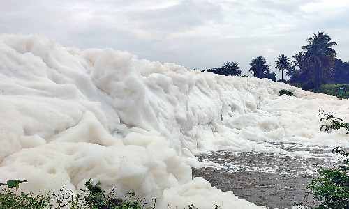 CPCB asks Karnataka to stop sewage entering Thenpennai