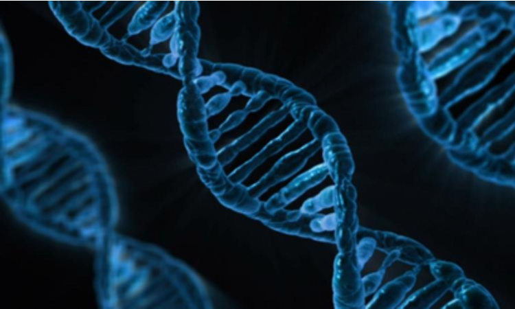 New AI breakthrough to revolutionise diagnosis, treatment of genetic diseases