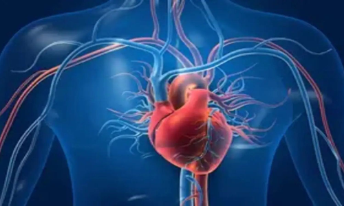 Unhealthy lifestyles may be ageing your heart too fast Unhealthy lifestyles may be ageing your heart too fast