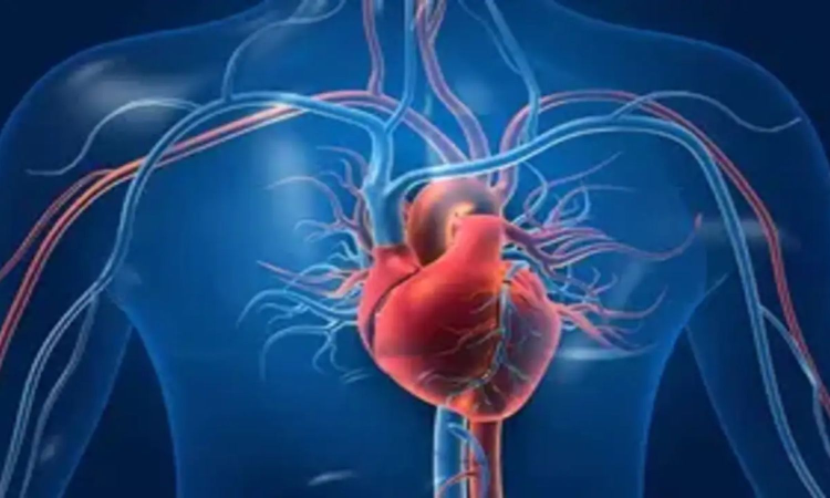 Unhealthy lifestyles may be ageing your heart too fast