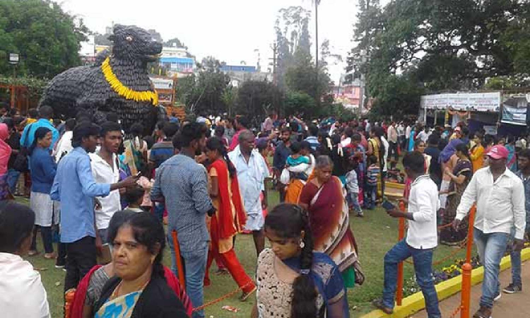 Veggie visual delight enthrals visitors at Kotagiri expo