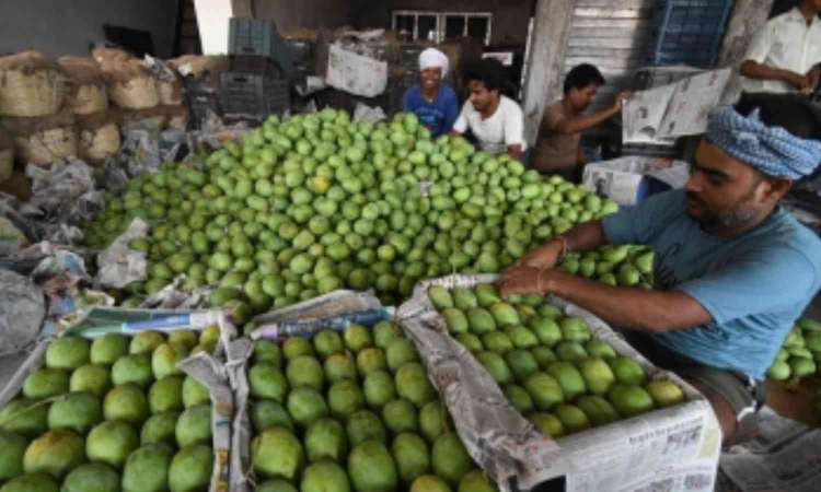 Centre drawing up new plan to push exports of farm goods & processed foods