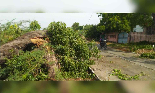 Sunday rain causes power outages in Mahabalipuram