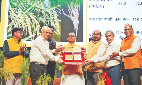 TN ryots raise alarm over India’s first genome-edited rice varieties