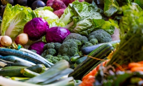 Eating a healthy diet in childhood can delay menstrual onset in girls: Study