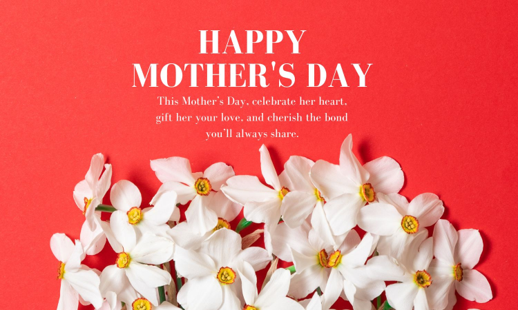Mothers Day Special | From state support to heartfelt celebrity moments: Stories that celebrate motherhood Mothers Day Special | From state support to heartfelt celebrity moments: Stories that celebrate motherhood