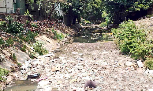 Chennai Citizen Connect: Captain Cotton Canal nearly choked due to garbage dumping