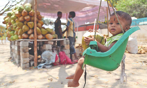 Tamil Nadu: Farmers seek support for tender coconut exports