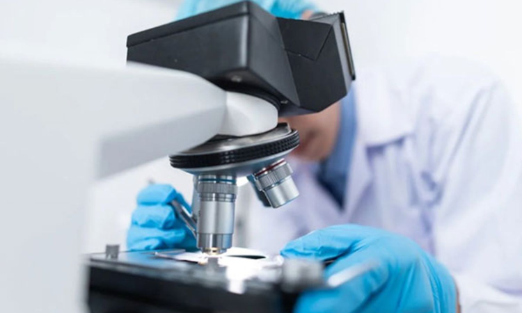 Study finds how obesity linked to long Covid