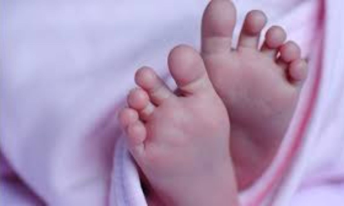 9-month-old baby thrown off bus after driver applies sudden brake, dies