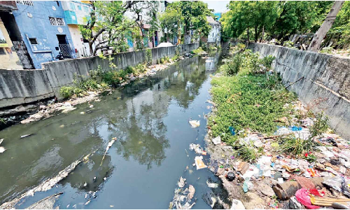 Restore stolen street lights, clean canal of garbage: Aminjikarai residents urge GCC
