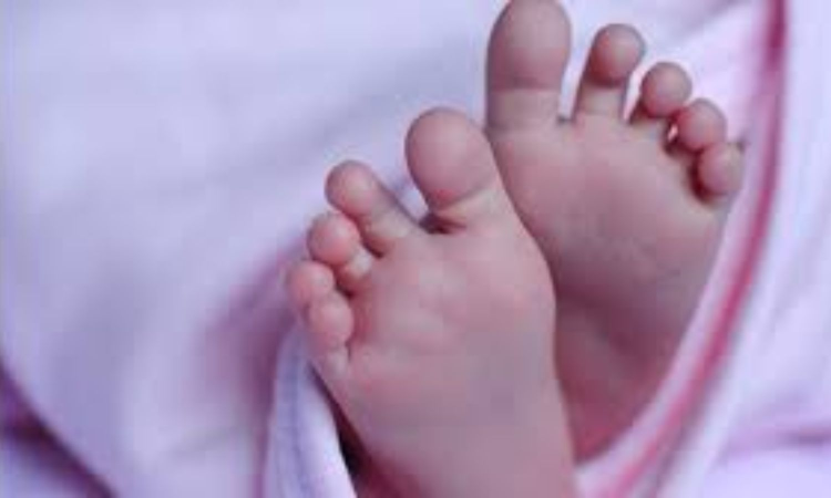 9-month-old baby thrown off bus after driver applies sudden brake, dies