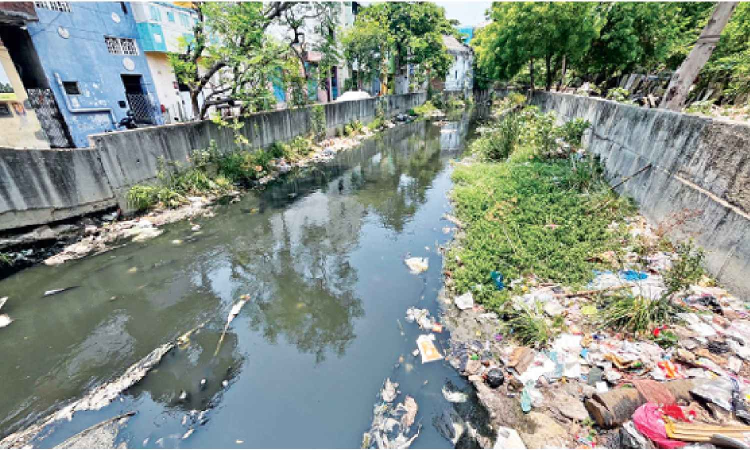 Restore stolen street lights, clean canal of garbage: Aminjikarai residents urge GCC