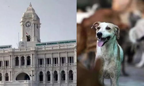 GCC to set up 10 new animal birth control centres to curb stray dog menace