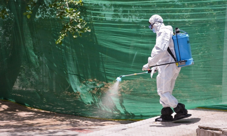 Bird flu scare in UP: Two more zoos shut, surveillance stepped up in poultry farms Bird flu scare in UP: Two more zoos shut, surveillance stepped up in poultry farms