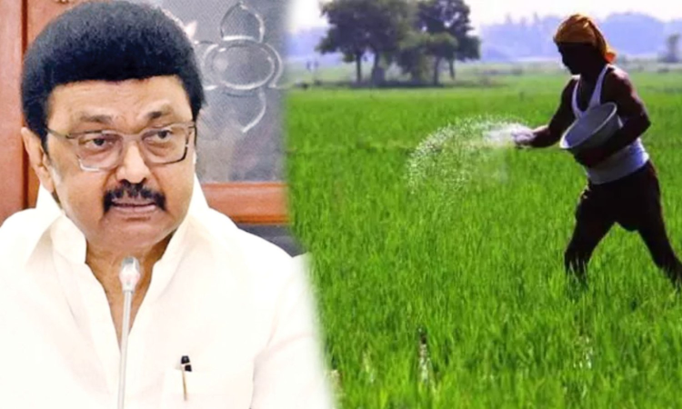 Provide relief for Cheyyar victims, farmers urge CM Stalin Provide relief for Cheyyar victims, farmers urge CM Stalin