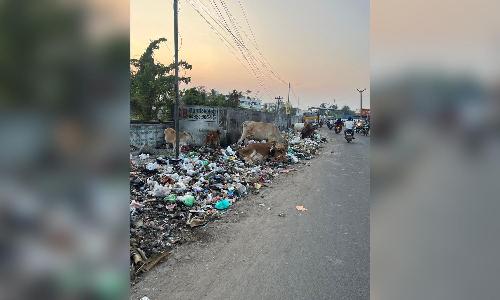 Chennai Citizen Connect: Garbage dumping on roadside annoys Urapakkam residents