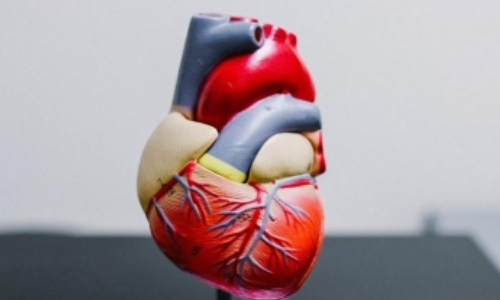 Only 3 out of 5 heart failure patients see cardiologist at least once a year: Study