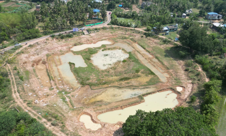 Engineer revives abandoned Melaiyur tank in Thanjavur 