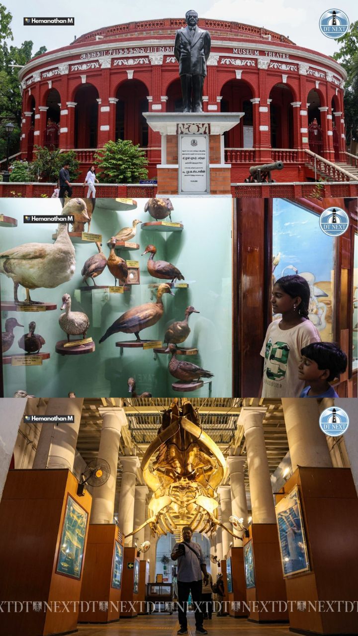 Visitors throng Egmore Museum on International Museum Day Visitors throng Egmore Museum on International Museum Day