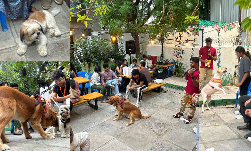 Pet Pawty 2025: Tail-wagging fun for a cause