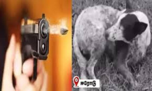 Retired government official arrested for shooting dog in Erode