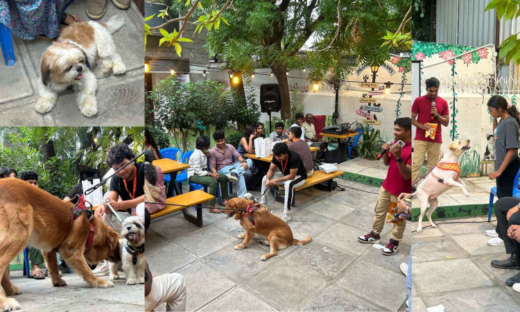 Pet Pawty 2025: Tail-wagging fun for a cause