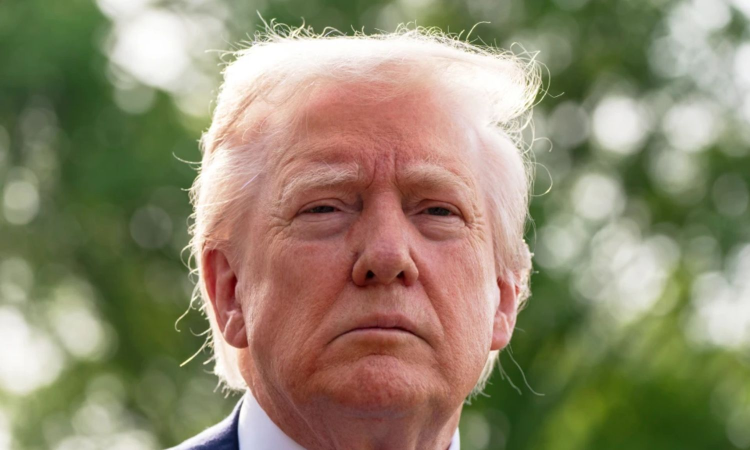 The Trump Reality Show Just Got Weirder