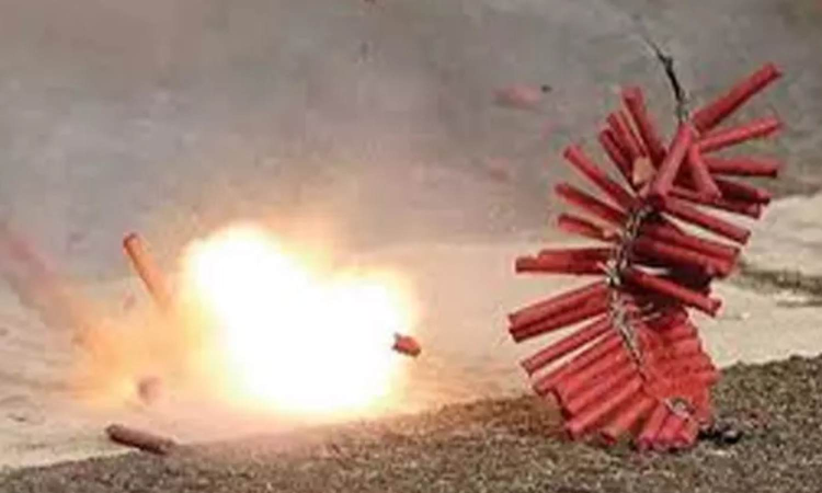 Tamil Nadu: Materials used to make crackers illegally seized