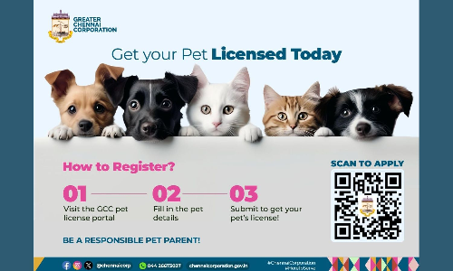 Chennai Corporation launches online pet licensing facility; check details