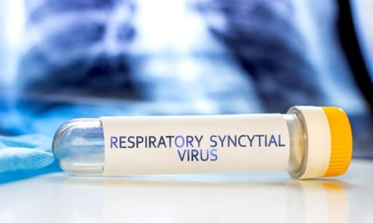 RSV may raise risk of in-hospital cardiac events than flu, Covid in adults: Study