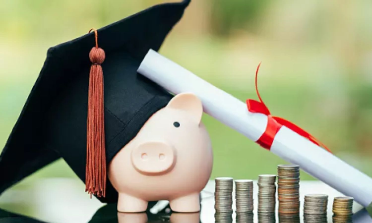 Tamil Nadu: CM research fellowship scheme extended to 60 students for 2024-25